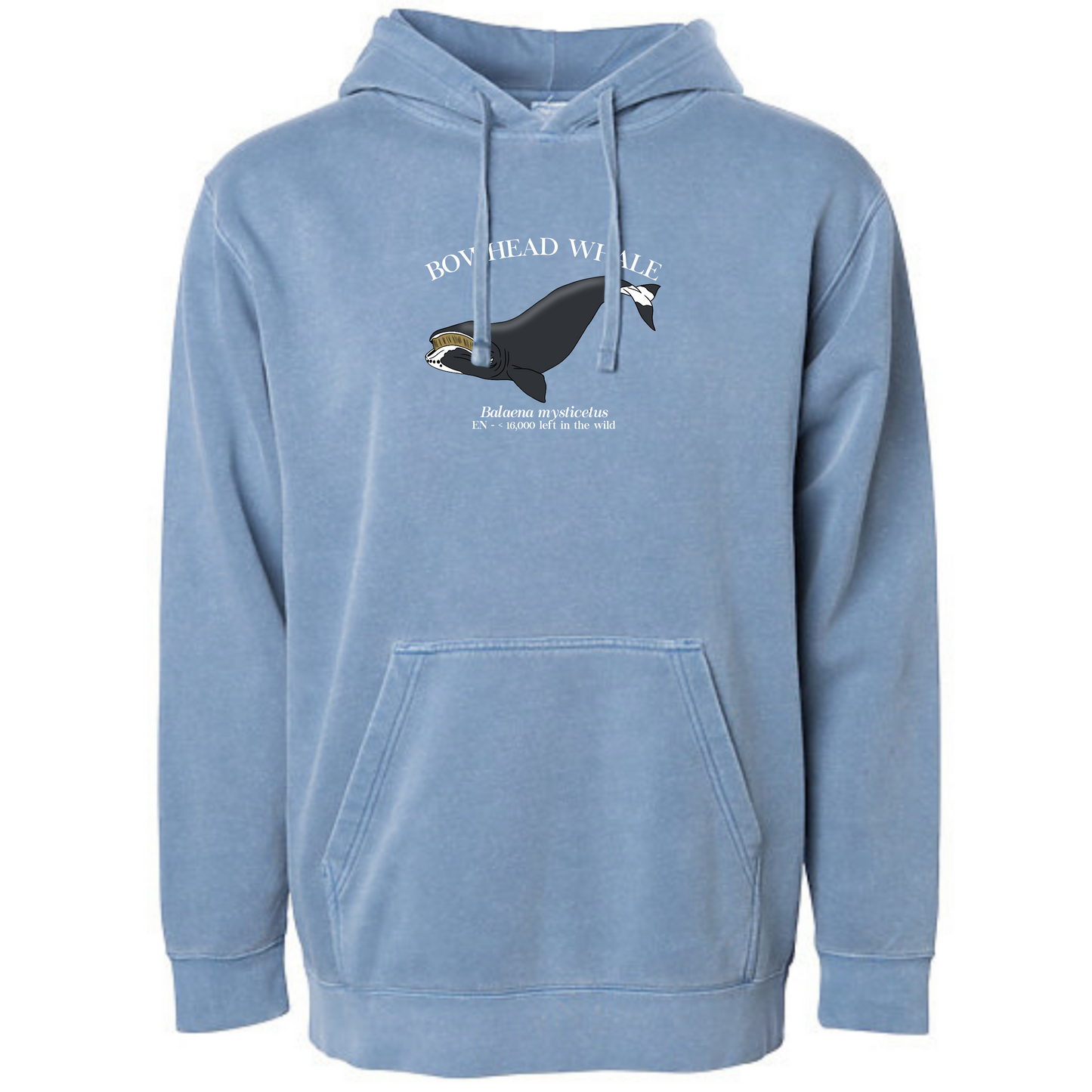 Bowhead Whale Sweatshirt