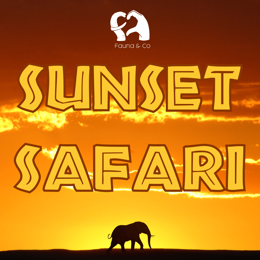 Sunset Safari - Fauna & Co