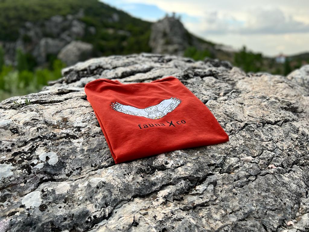 T-Shirt Mystery Bundle
