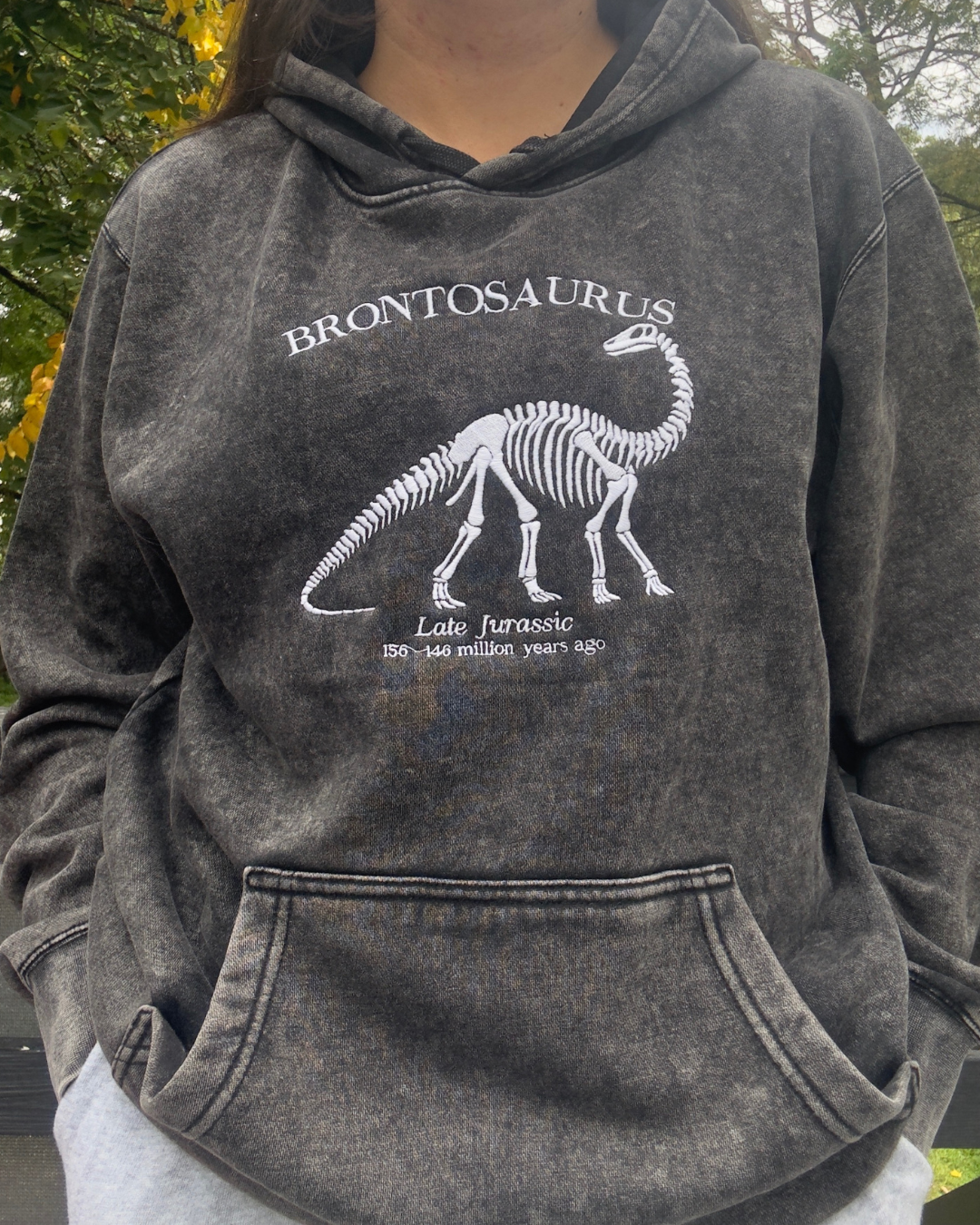 Brontosaurus Hoodie