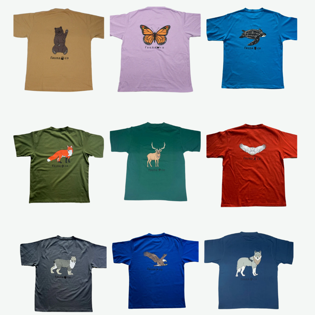 T-Shirt Mystery Bundle