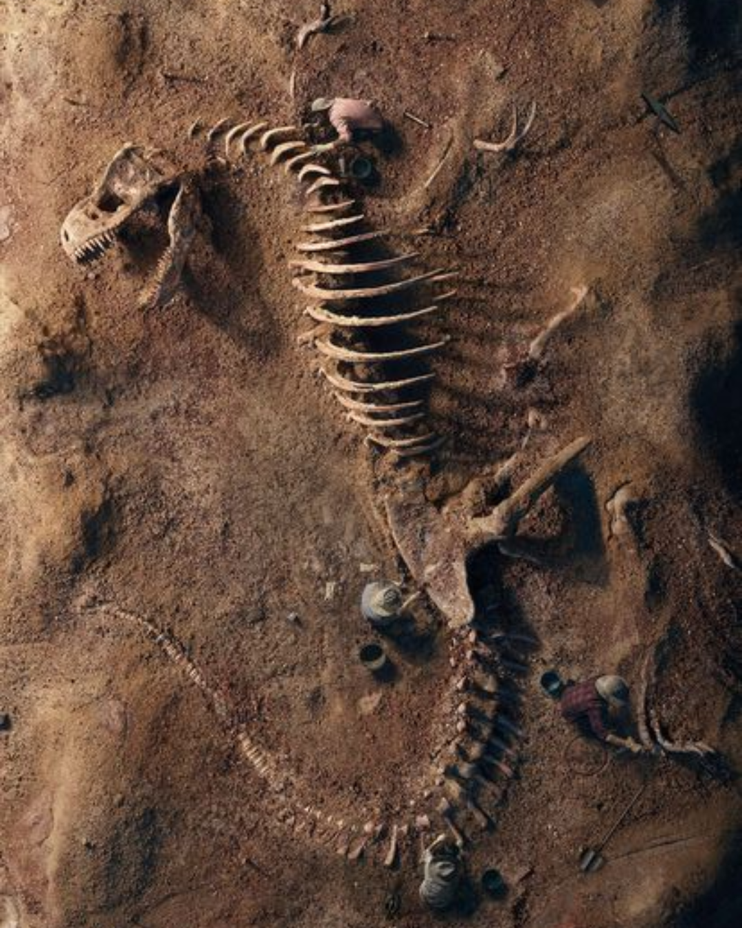 Prehistoric Mystery Bundle