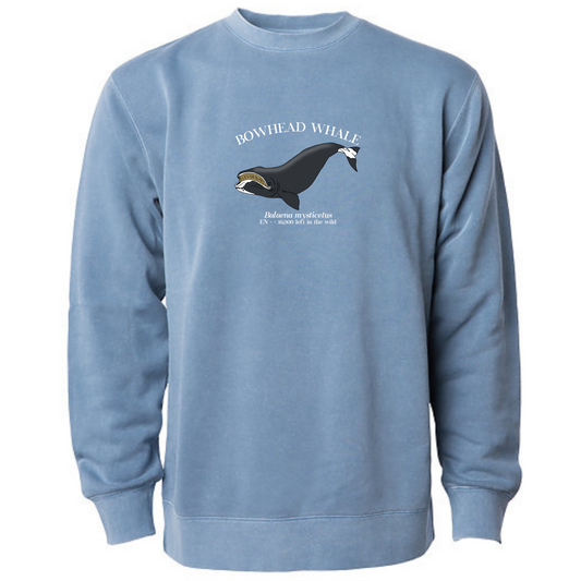 Bowhead Whale Sweatshirt