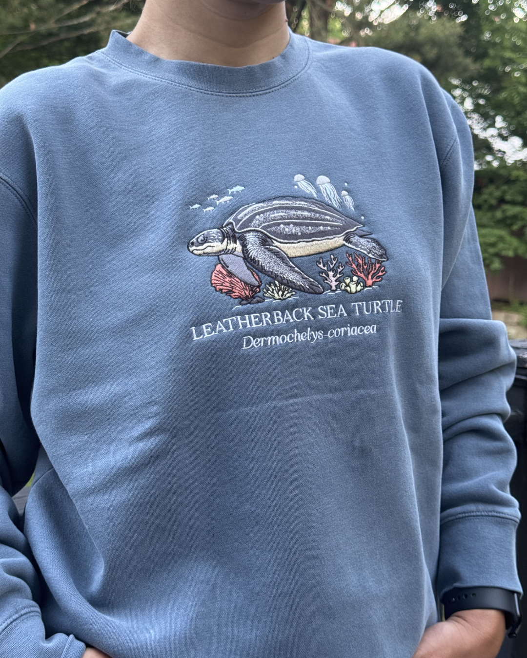 Leatherback Sea Turtle Sweatshirt