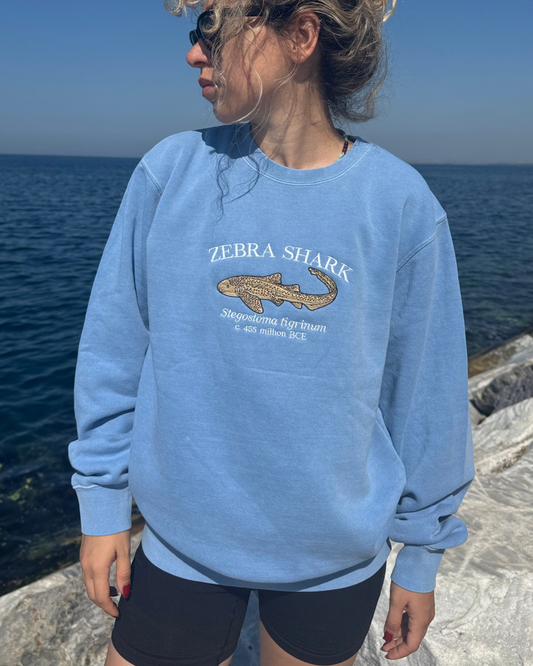 Zebra Shark Sweatshirt