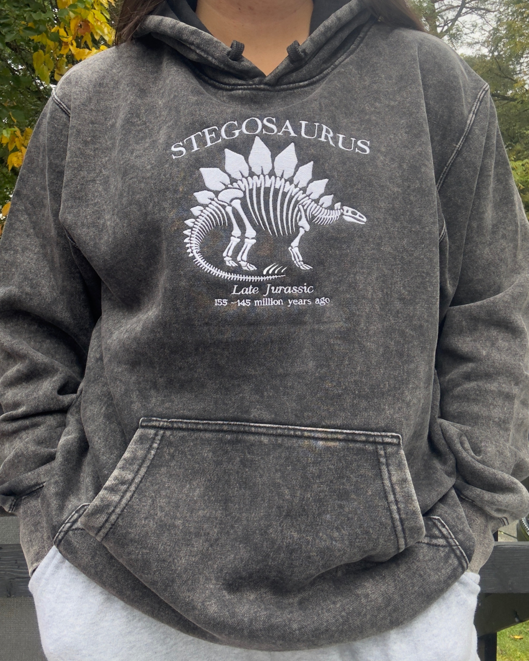 Stegosaurus Hoodie