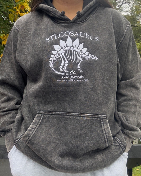 Stegosaurus Hoodie