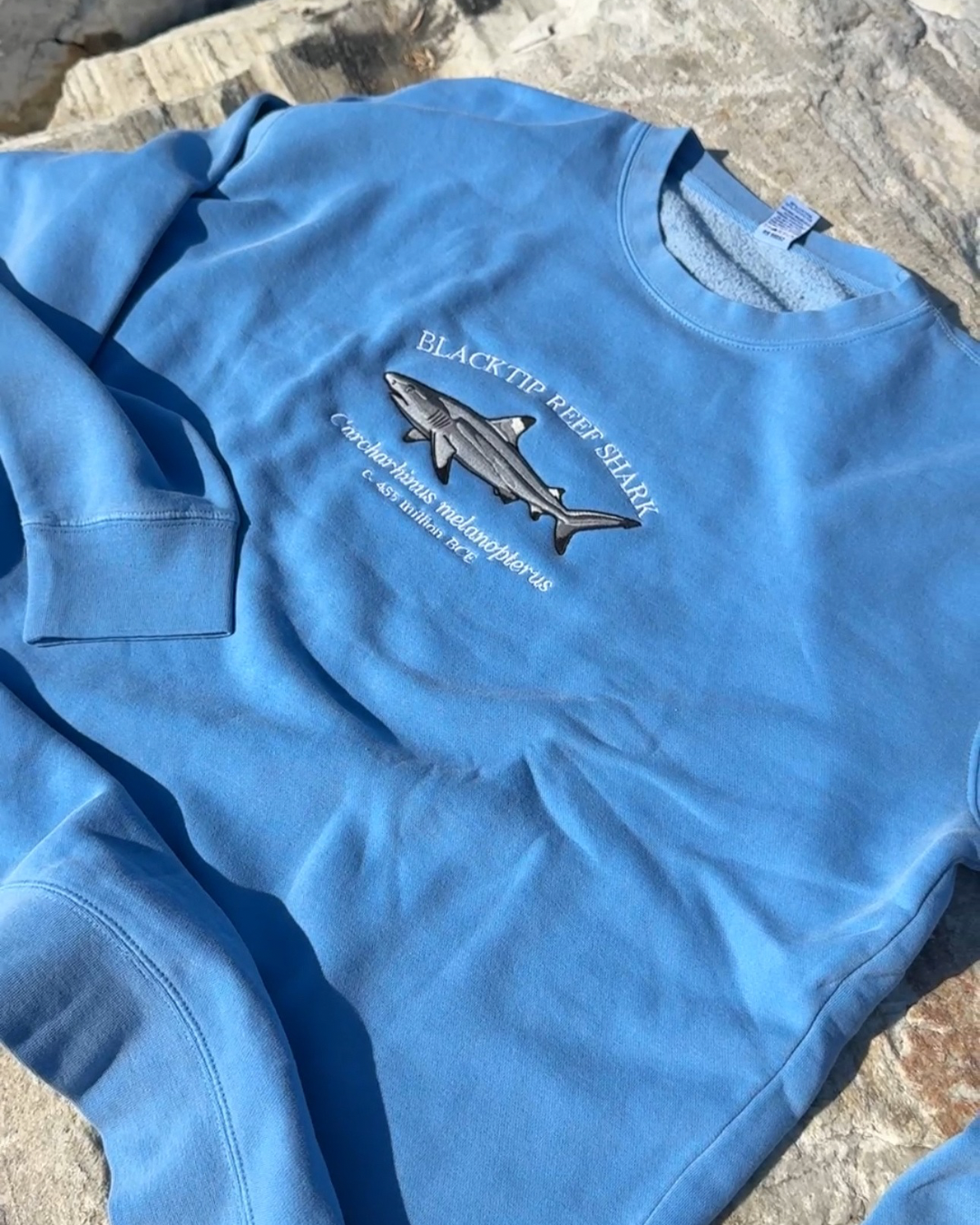 Blacktip Reef Shark Sweatshirt