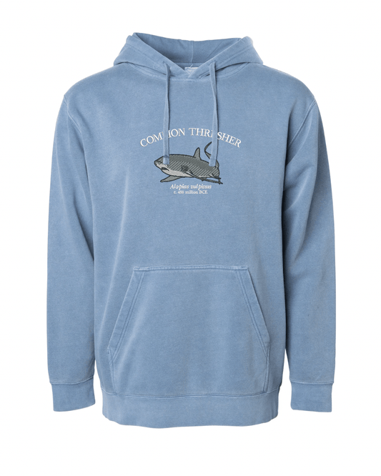 (PREORDER) Common Thresher Shark Sweatshirt - Fauna & Co
