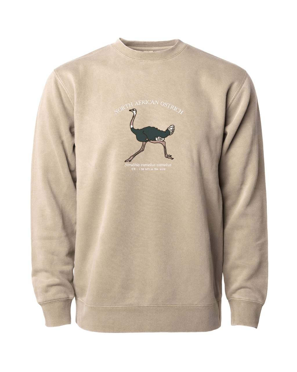(PREORDER) North African Ostrich Sweatshirt - Fauna & Co