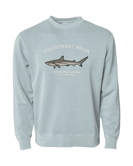 (PREORDER) Pondicherry Shark Sweatshirt - Fauna & Co