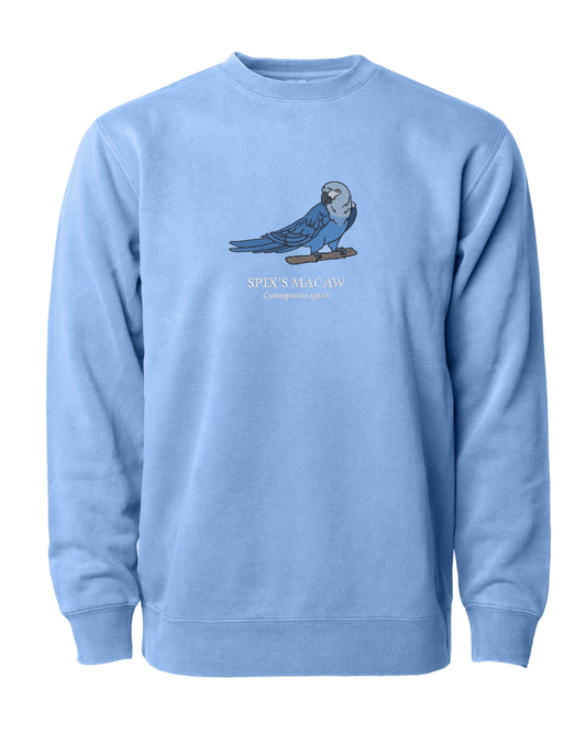 (PREORDER) Spix's Macaw - Fauna & Co